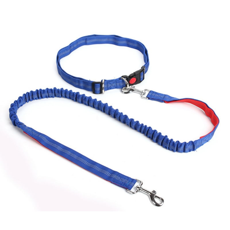 long leash walmart