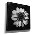 thumbnail image 2 of Epic Graffiti 'Sunny Bloom Monochrome' by Leah McLean,, 37"x37", 2 of 8