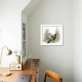 thumbnail image 4 of Birds Passeriformes, Great Bowerbird, Chlamydera Nuchalis, Animals Framed Art Print Wall Art Sold by Art.Com, 4 of 5