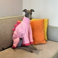 thumbnail image 6 of UOSIA Italian Greyhound Whippet Dog Fleece Dinosaur Onesie, Turtleneck Costume Outfit, 6 of 7