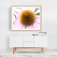 thumbnail image 5 of Purple coneflower - Photography Flowers Floral Botanical Nature Garden Pattern Summer Unframed Wall Art Print 24 x 32 inches, 5 of 6