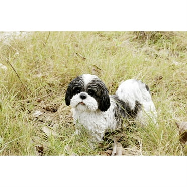 Hi-Line Gift Ltd 87672-BK Black & White Standing Shih Tzu