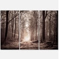 thumbnail image 3 of Forest Trail in Sepia, 3 of 3