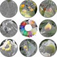 thumbnail image 4 of 100 Pack Organza Bags with Drawstring for Fruit Protection Against Birds and Wasps 30x20cm 23x17cm Multi-Size Mesh Pouches for Garden Use, 4 of 5