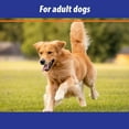 thumbnail image 3 of Exmarid Dry Skin Supplement Cat and Dog Health 150ml Case of 3, 3 of 6