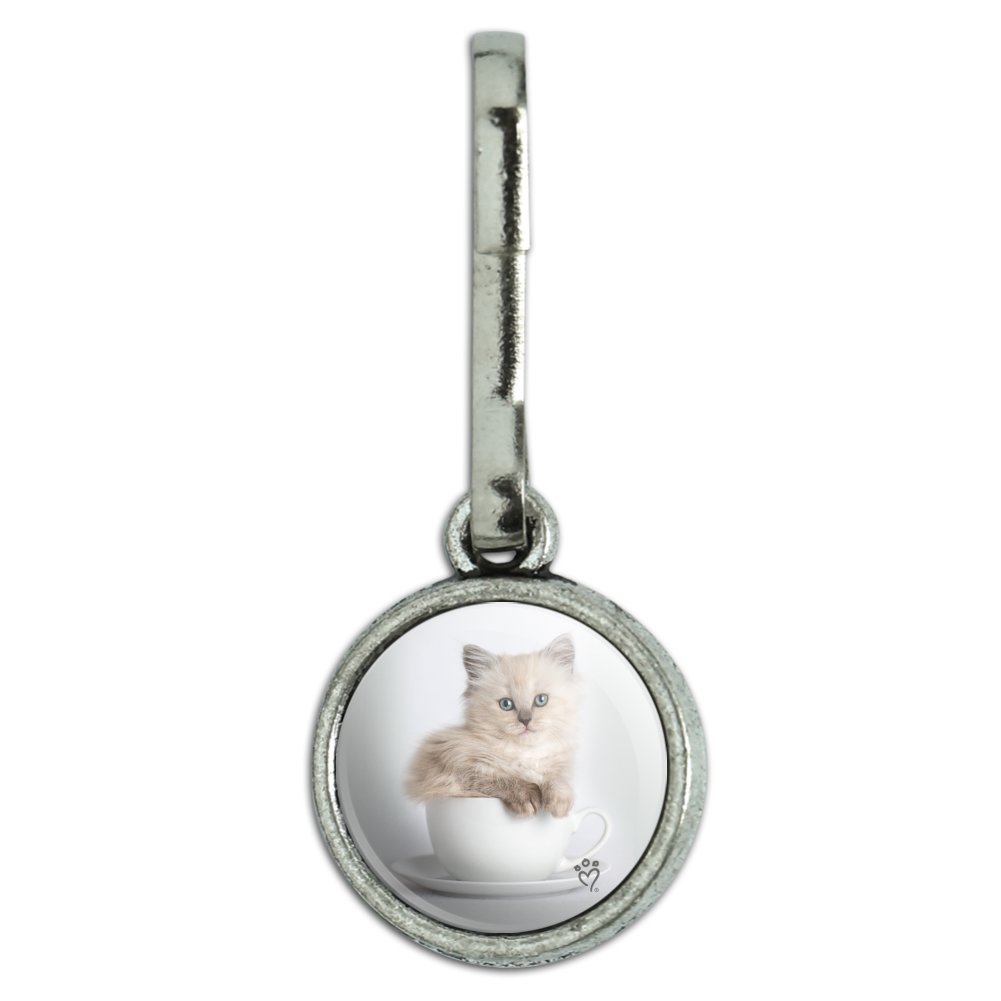 Ragdoll Tiffany Cat Kitten Tea Cup Ride 
