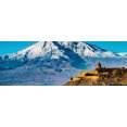 thumbnail image 2 of Ararat and Khor Virap, Armenia 1000pc Panoramic Puzzle, 2 of 2