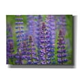 thumbnail image 1 of Epic Graffiti 'Blue Lupine Flowers' by Cora Niele, Canvas Wall Art, 16"x12", 1 of 8