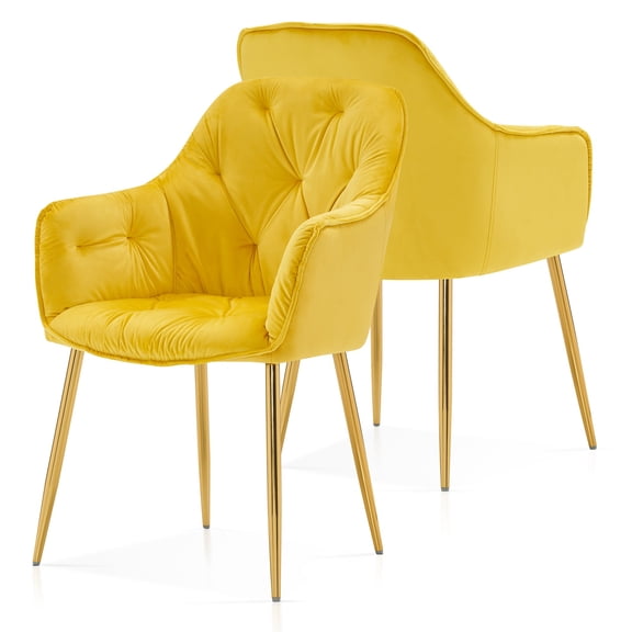 Ivinta Tufted Dining Chairs Set of 2, Velvet Arm Chair with Solid Gold Plated Legs and Padded Seat for Living Room