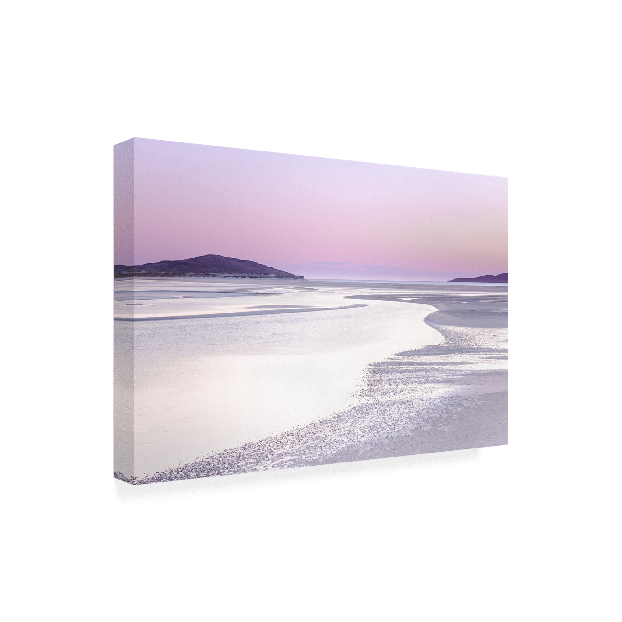 Trademark Fine Art 'Silver Silence' Canvas Art by Lynne Dougla