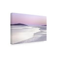 thumbnail image 2 of Trademark Fine Art 'Silver Silence' Canvas Art by Lynne Dougla, 2 of 3