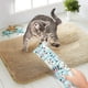 thumbnail image 5 of Paquete de piezas Juguetes para gatos Almohada de hierba gatera Juguetes interactivos para gatos Patrón lindo Gatito interior Gato MFZFUKR BST3000010-3, 5 of 5