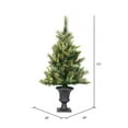 thumbnail image 2 of Vickerman 3.5' Cashmere Pine Artificial Christmas Tree, Warm White Dura-Lit® LED Lights, 2 of 4