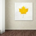 thumbnail image 3 of Trademark Fine Art "Autumn Colors II" Canvas Art by Sue Schlabach, 3 of 3