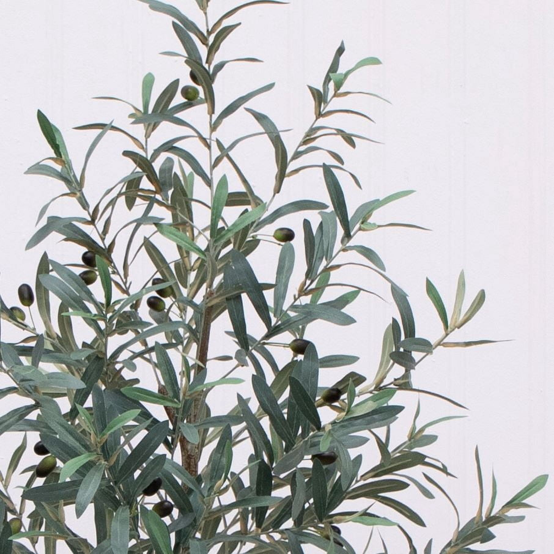 Better Homes & Gardens 6'H Artificial Indoor Olive Tree in Ceramic Plant Container