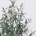 thumbnail image 4 of Better Homes & Gardens 6'H Artificial Indoor Olive Tree in Ceramic Plant Container, 4 of 7
