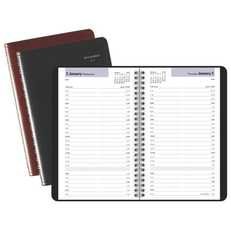 At-A-Glance DayMinder Daily Appointment Book - 2019 Yearly Planners