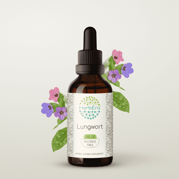 HerbEra Lungwort Tincture, Herbal Dietary Supplement for Respiratory Support, Lungwort (Pulmonaria officinalis) Dried Leaf Extract, Natural, Alcohol-Free, Drops 2 oz