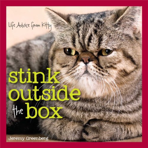 Pre-Owned Stink Outside the Box: Life Advice from Kitty (Hardcover) 1449456596 9781449456597