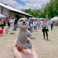 thumbnail image 5 of Sloth Finger Puppet, 5 of 7