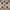 Navy/Beige, variant on SAFAVIEH Madison Dayna Trellis Bordered Area Rug, Grey/Beige, 5'3" x 7'6"