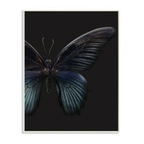 Stupell Industries Butterfly Abstract Wings Animal Photograph Graphic Art Unframed Art Print Wall Art, 10x15, by Design Fabrikken