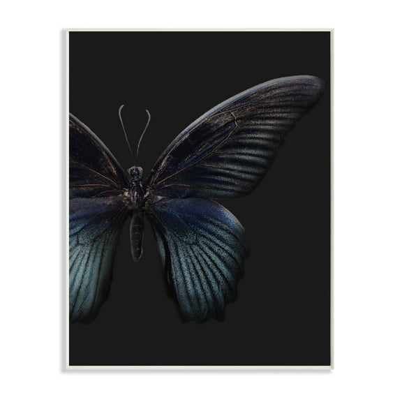 Stupell Industries Butterfly Abstract Wings Animal Photograph Graphic Art Unframed Art Print Wall Art, 10x15, by Design Fabrikken