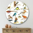 thumbnail image 2 of Designart 'Vital Colored Birds Plancard' Traditional Circle Metal Wall Art 29x29 - Disc of 29, 2 of 5