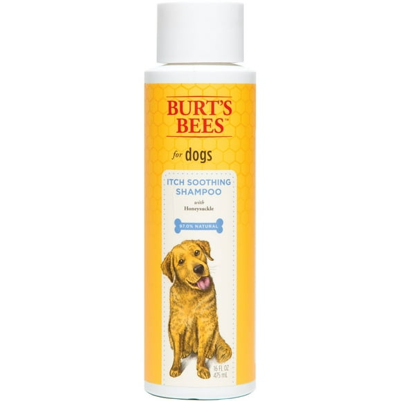 Burt'S Bees Chien Shampooing 16oz-Itch Apaisant