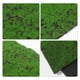 thumbnail image 2 of Micro paisaje musgo Artificial musgo falso Mini jardín paisajismo Prop adorno de musgo Artificial, 2 of 5