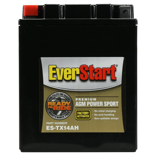 EverStart Premium AGM Power Sport Battery, Group Size ESTX14AH