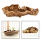 thumbnail image 4 of Maceta Suculenta Maceta de Resina Maceta de Bonsái Maceta para Cactus Forma de Tronco con Drenaje Pequeño Conveniente para Regalar Decoración en, 4 of 9