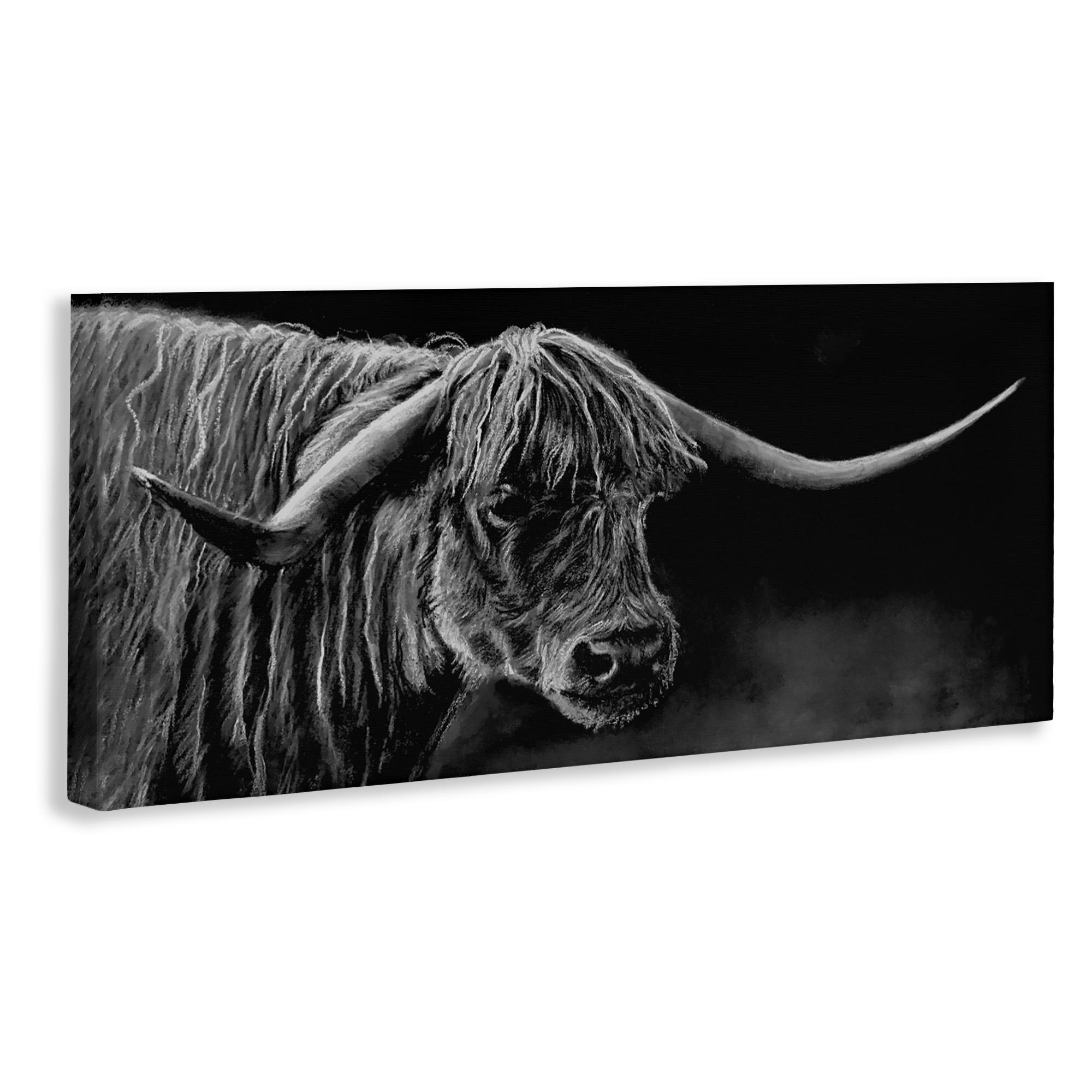 Highland Longhorn Portrait Canvas Wall Art, design by Patricia Reynolds