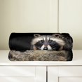 thumbnail image 2 of Erosebridal Kawaii Raccoon Flannel Blanket, Brown Sherpa Throw, Rustic Animal Decor, 2 of 5