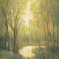 thumbnail image 2 of OToole, Tim 20x20 Gold Ornate Wood Framed with Double Matting Museum Art Print Titled - Forest Sanctuary II, 2 of 4