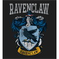 thumbnail image 2 of Harry Potter Ravenclaw Crest Long Sleeve Adult Hooded Sweatshirt-Medium, 2 of 3