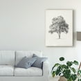 thumbnail image 3 of Trademark Fine Art 'Vintage Arbor Study I' Canvas Art by Ethan Harper, 3 of 4