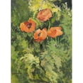 thumbnail image 2 of Gustav Macoun 11x14 Gold Ornate Wood Frame and Double Matted Museum Art Print Titled - Wild Poppies, 2 of 4