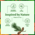 thumbnail image 2 of SVA Pine Needle Essential Oil – 4 Fl Oz – 100% Natural Pine Needle Oil - for Diffuser, Hair Care, Face, Skin Care, Aromatherapy, Scalp and Body Massage, Soap and Candle Making – with Dropper, 2 of 8