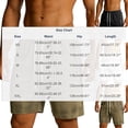 thumbnail image 2 of DayScoop Men's Summer Shorts Fashion Shorts Solid Color Sport Casual Holiday Basketball Breathable Zipper Pockets Short Pants, 2 of 5