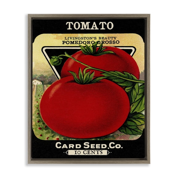 Stupell Industries Shabby Chic Vintage Garden Tomato Brown Floating Frame Canvas Art, 17 x 21, by Lil' Rue