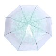 thumbnail image 6 of Transparent Folding Umbrella with Cherry Blossom Pattern, Windproof Compact Rain Umbrella for Women, Manual Open, 36.6 inches / 93 cm, Light Green Color, 6 of 9