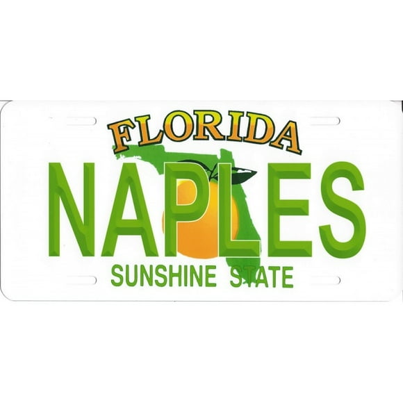 Florida Naples State Look a Like Photo License Plate
