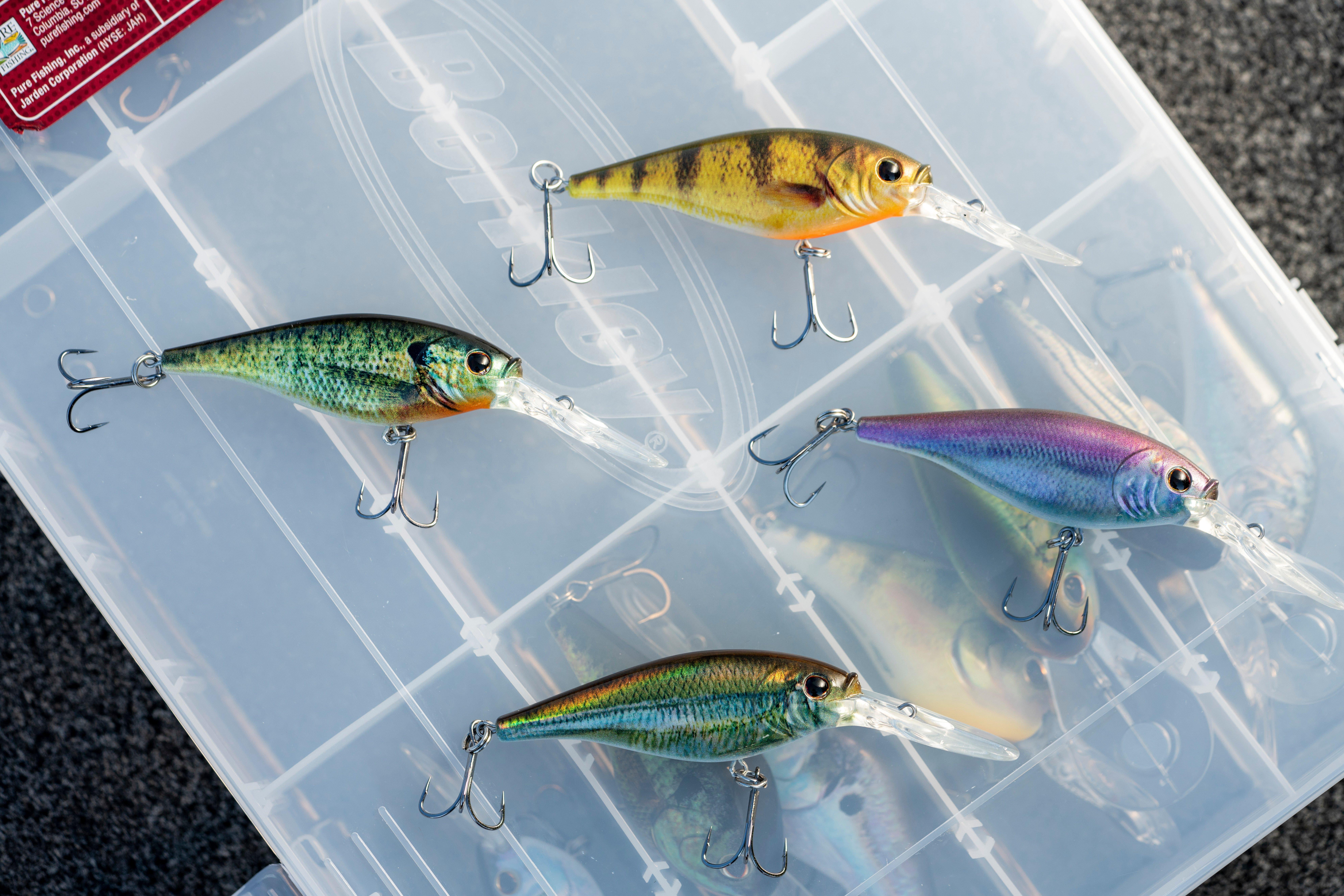 (4 pack) Flicker Shad®