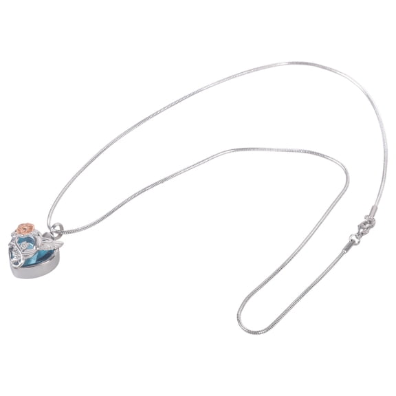 Pet Ashes Necklace Locket Necklace for Pet Mom Locket for Ashes/Hair Heart Charm Necklace for Ashes/Hair