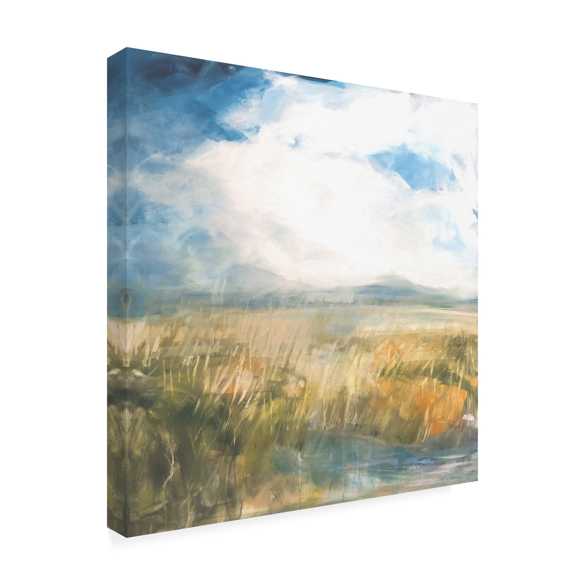 Trademark Fine Art 'Summer Marsh' Canvas Art by Mila Apperl