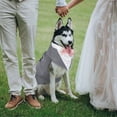 thumbnail image 5 of HQREA Dog Tuxedo for Large Dog, Pet Formal Wedding Suit with Bow Ties Collar for Birthday Party, 5 of 6