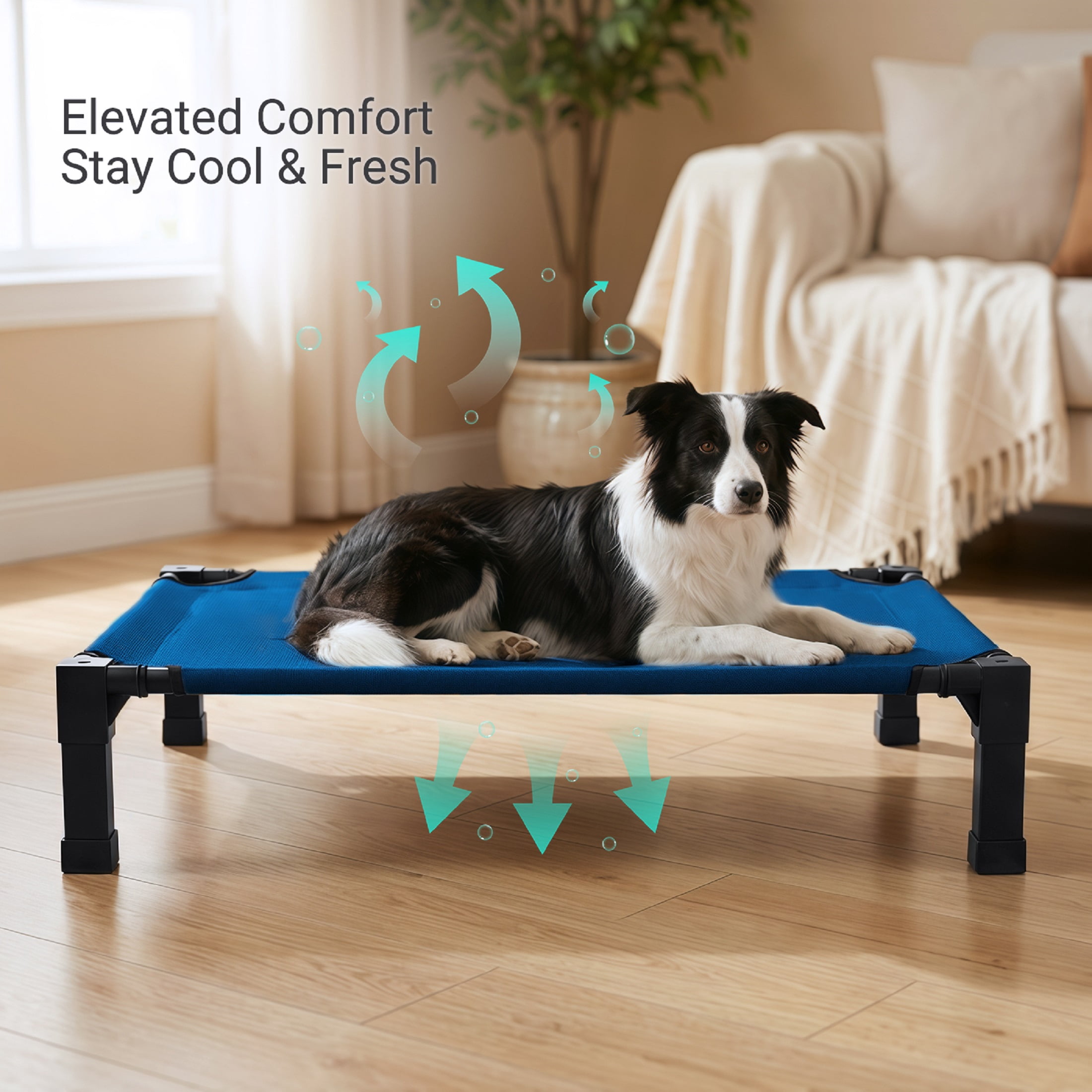 Elevated Dog Bed, Cooling Raised Bed, Portable&No-Slip for Outdoor or Indoor Use, Navy, Large, 51"L x 36"W x 9.3"H