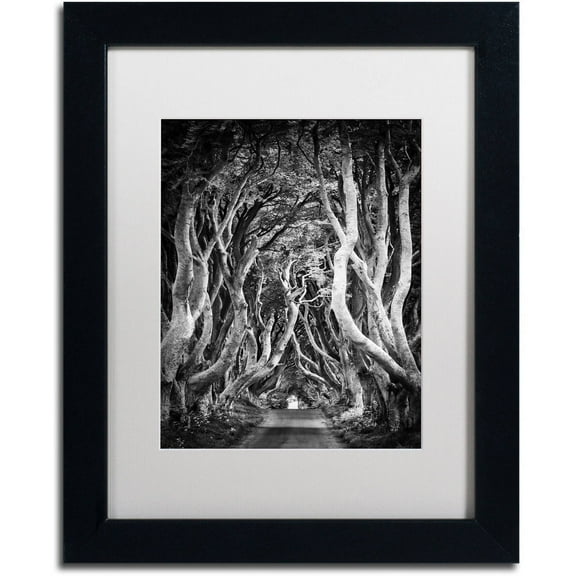 Trademark Fine Art "Zig Zag Nation" Canvas Art by Philippe Sainte-Laudy, White Matte, Black Frame