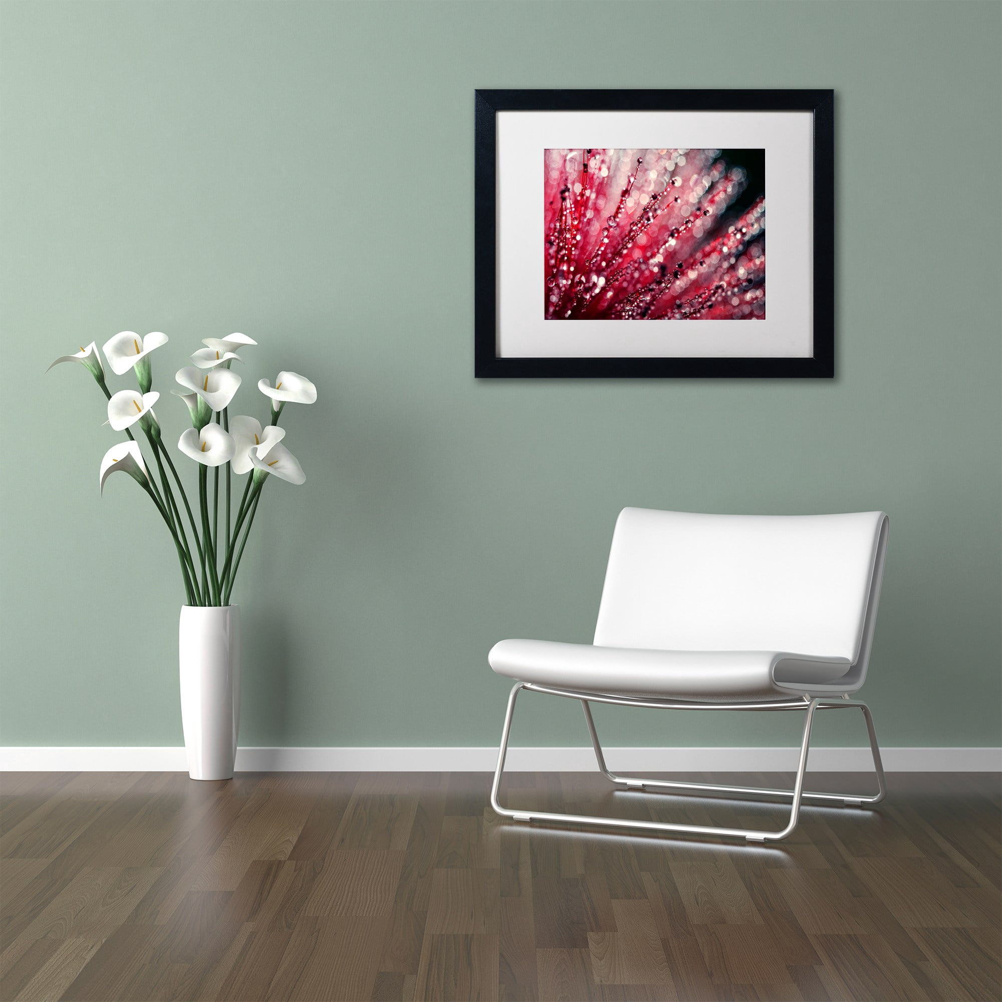 Trademark Fine Art "Sonata in Red" Canvas Art by Beata Czyzowska Young, White Matte, Black Frame